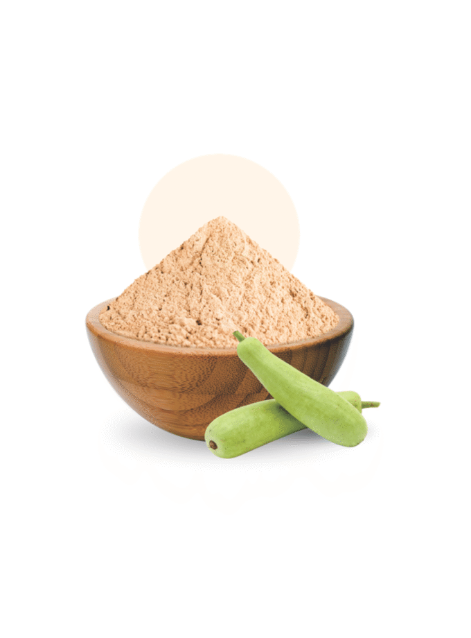 Bottle Gourd Powder