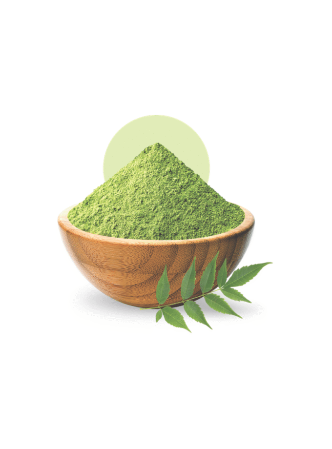 Neem Leaves Powder